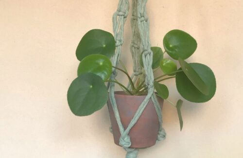 Plant Hanger Macramè Fai Da te